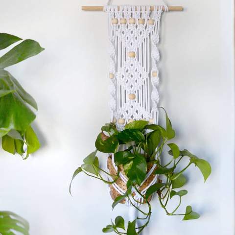 Create a Gorgeous Beaded Macrame Plant Hanging